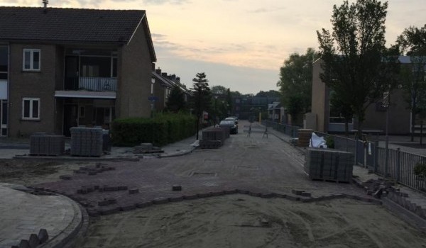 Wilgenstraat, Olmenstraat & Linnaeuslaan